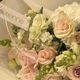 Pretty Pastels