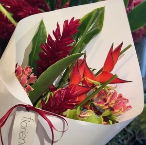 Tropicals