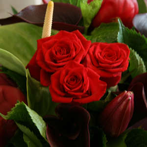 Products: Delicious Reds