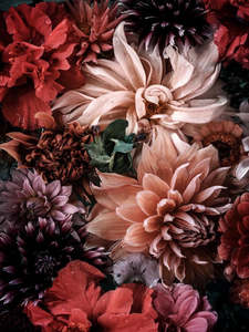 Greeting Cards: Abundance Blank Card