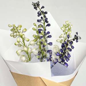 Seasonal Delphinium Wrap