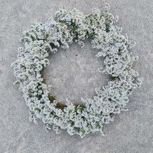 Dried Blooms: Wreath | Small