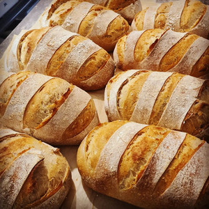 Products: white sourdough FlourBro