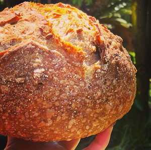 walnut and sunflower seed sourdough FlourBro