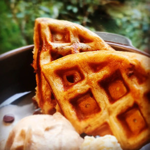 Products: sourdough waffle mix FlourBro
