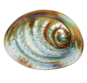 Moana Rd Paua Bowl - Large