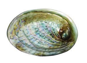 Moana Rd Paua Bowl - Medium