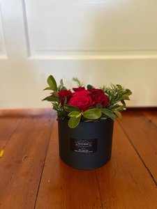 Products: Roses in a hatbox - Flourish Floral Designs