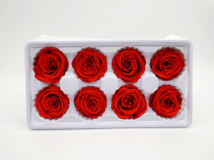 Dried flower Preserved Roses red
