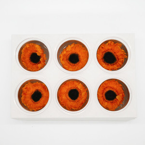 Products: Dried flower Preserved Sun Flowers - Orange