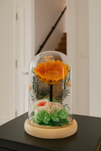 Products: Sunshine LED Light Dome Flower Boutique