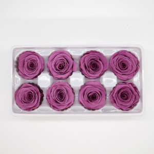 Dried flower Preserved Roses purple