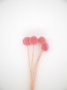 Products: Dried flower Flower Boutique