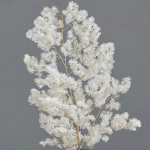 Ming Fern - White Flower Boutique