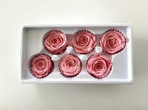 Products: Preserved Roses Pastel Pink 5-6 cm diameter rose Flower Boutique