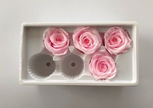 Products: Preserved Roses 4 Bright Pink 5-6 cm diameter rose - LAST STOCK Flower Boutique