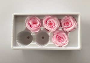 Products: Preserved Roses 4 Bright Pink 5-6 cm diameter rose - LAST STOCK Flower Boutique
