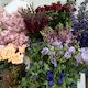 The Bright Florists Choice Bouquet