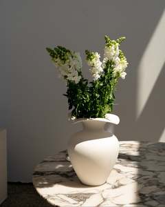 Flowers Single Bunch In Mass: Elegant White Snapdragon Bunch