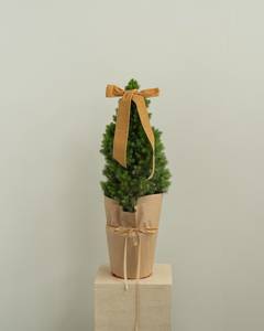 Occasion Christmas Gifts: Mini Christmas Tree