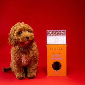 Add On Gifts Home Living: Dog Grooming Set