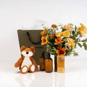 Gifts Baby Gifts: Welcome to the World Gift Set