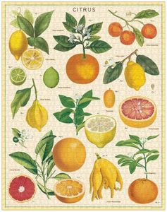 Cavallini & Co Vintage Puzzle Citrus 1000 Pce, Cards and Books Flowers By Joanne