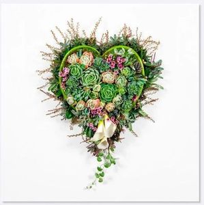 Greeting Card - Succulent Heart, Cards and Books Flowers By Joanne