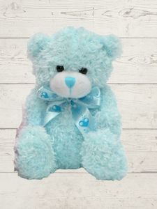 Soft Toys Hospital: Lindsay blue teddy (H)