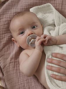 Baby: BIBS pacifier - Anatomical  size 1