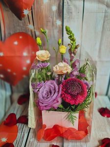 Valentines Collection: Cutie pie