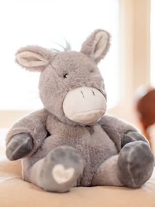 Toasty hugs - Diego Donkey