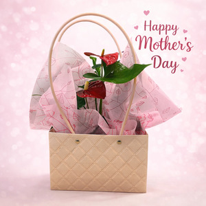 Simply Mum