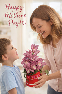 Mothers Day 2026: Mum’s Orchid Delight