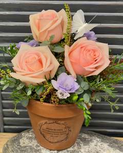 Bouquets Bunches: Terra-Bloom