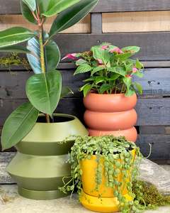 Plants 1: Pots