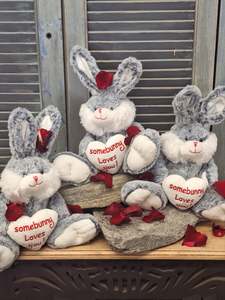Valentines Day: Somebunny Loves you!