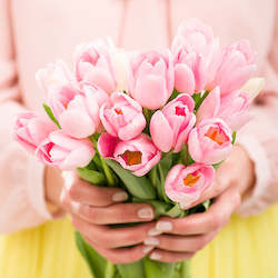 Flowers: Bunch of Tulips
