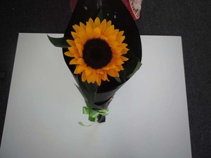 Products: Single Sunflower