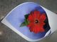 Single Gerbera – Red