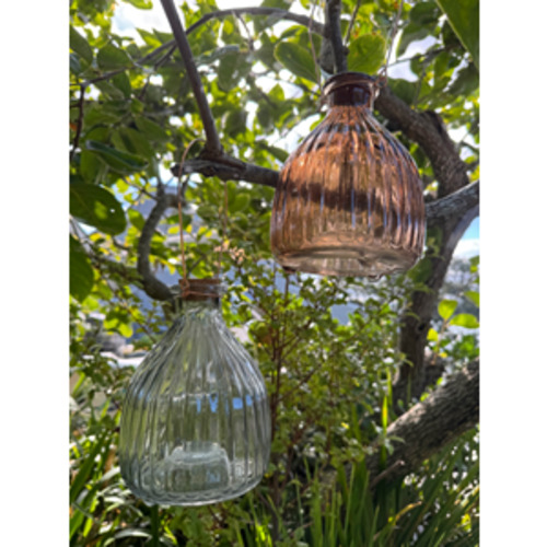 Garden Outdoor: Wasp Trap Assorted
