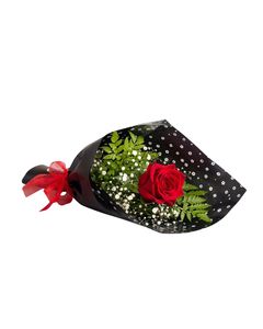 Valentines Day: Single Rose - Gift wrapped
