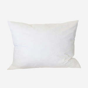 Cc Interiors: 45 X 65 Feather & Down Cushion Cover