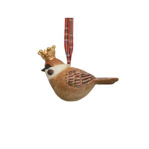 Brown Bird with Crown
