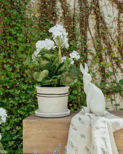 Homewares: Harold the Hare Turning Small White