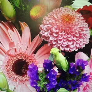 Always a lady – Flowers in the City