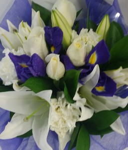 Oceans Blue – Flowers in the City
