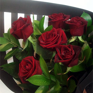 Romance 6 Red Roses – Flowers in the City