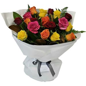 RAINBOW BRIGHT Roses