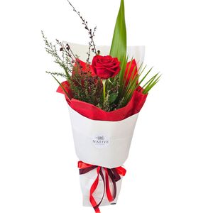 Valentines Day: ONE LOVE Red Rose
